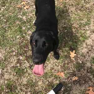 Meet your Posher, Justin